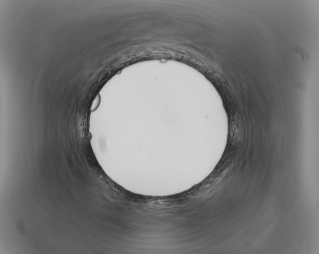X0000112901490200910021424