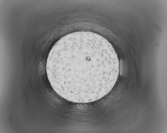 X0000112901491200910021424