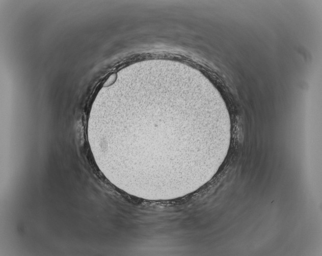 X0000112901493200910021424