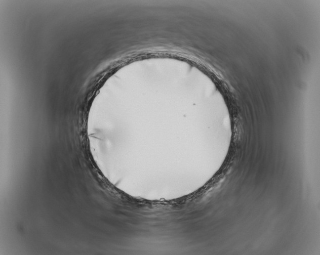 X0000112901494200910021424
