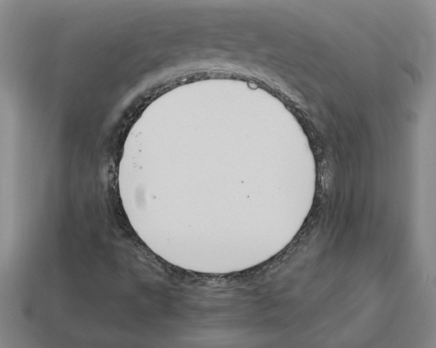 X0000112901495200910021424