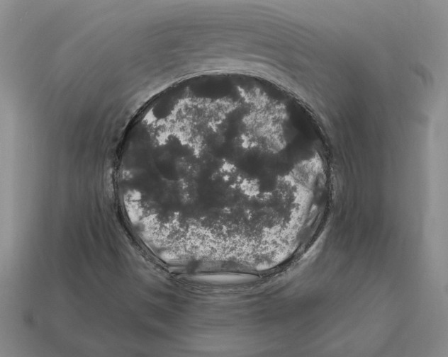 X0000112901497200910021424