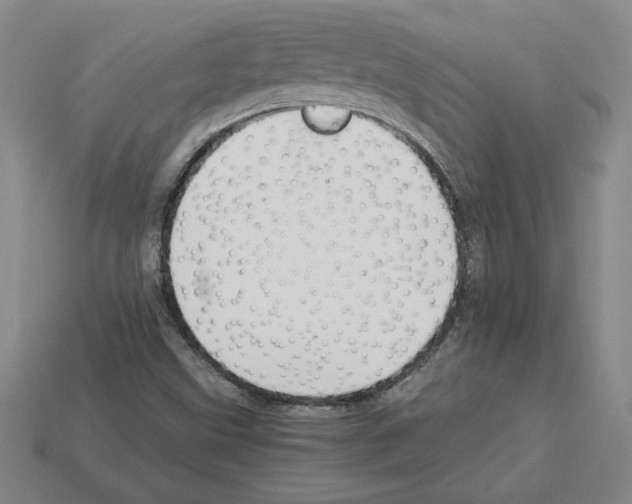 X0000112901499200910021424