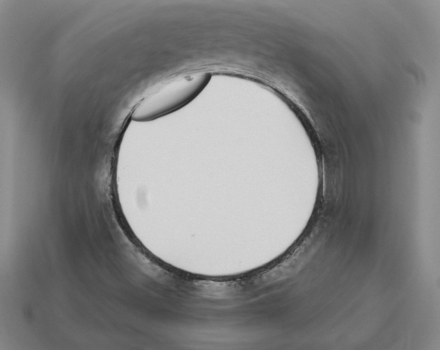 X0000112901500200910021424