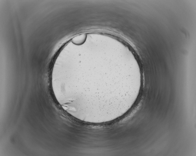 X0000112901501200910021424