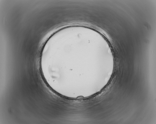 X0000112901504200910021424