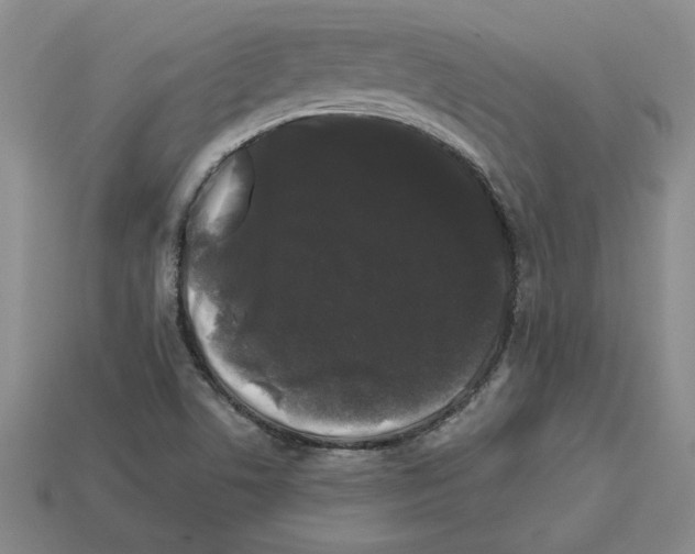 X0000112901506200910021424