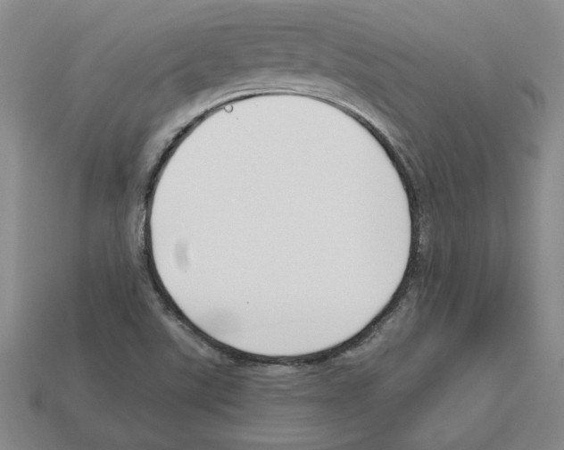 X0000112901507200910021424