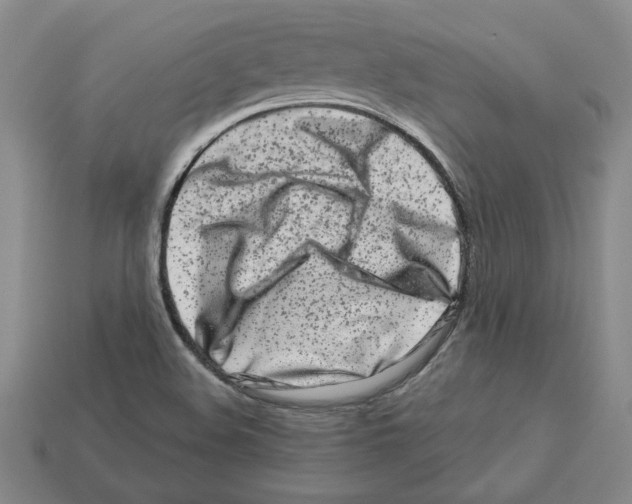 X0000112901508200910021424