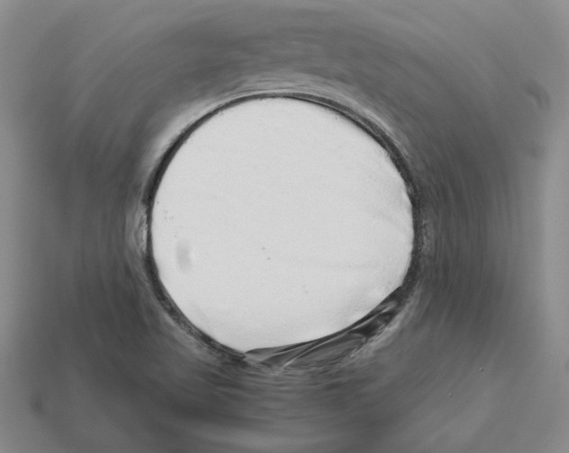 X0000112901509200910021424