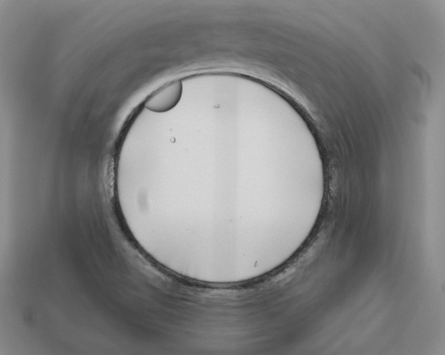 X0000112901510200910021424