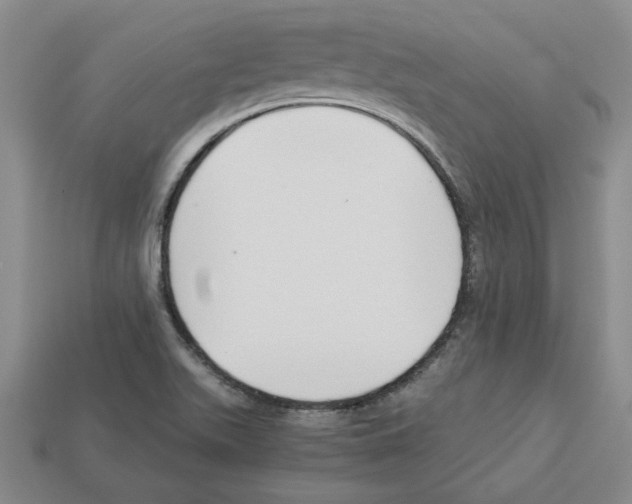 X0000112901511200910021424