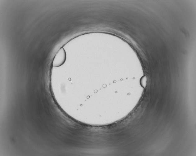 X0000112901512200910021424