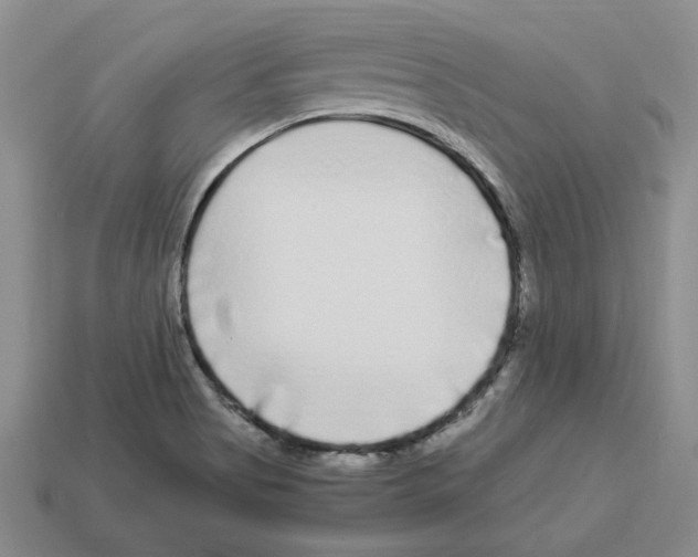 X0000112901513200910021424