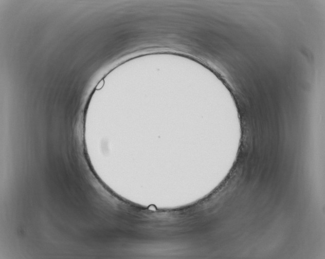 X0000112901516200910021424
