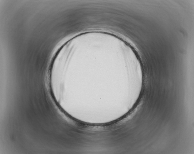 X0000112901517200910021424