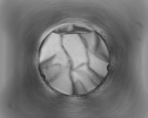 X0000112901520200910021424