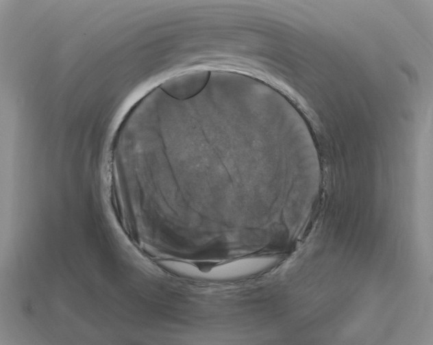 X0000112901522200910021424