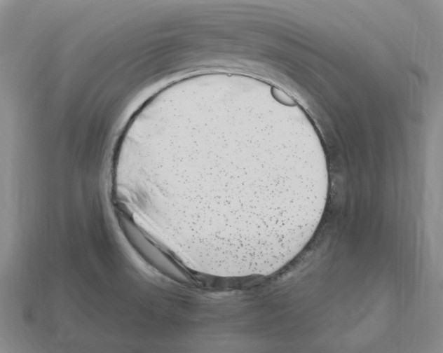 X0000112901523200910021424