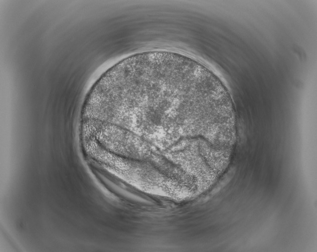 X0000112901525200910021424