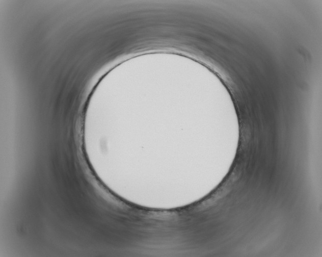 X0000112901526200910021424
