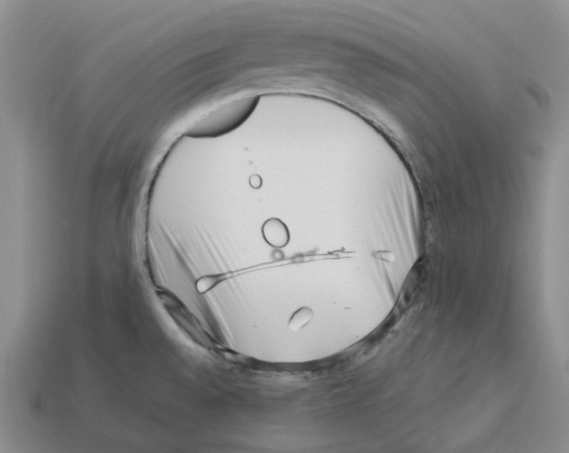 X0000112901528200910021424
