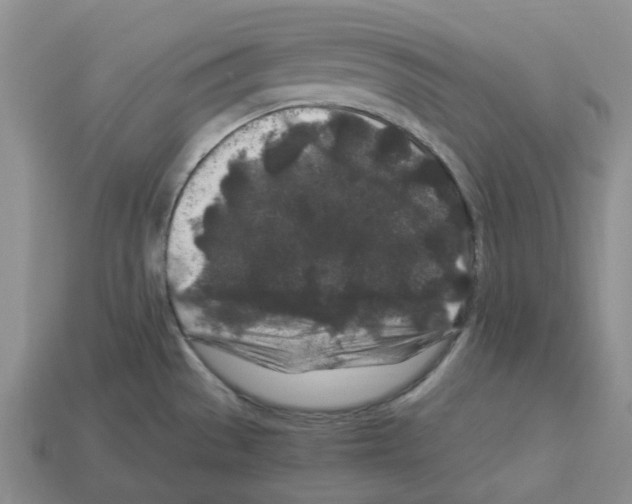 X0000112901529200910021424