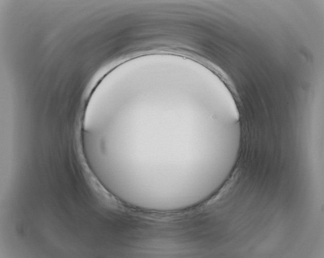 X0000112901530200910021424