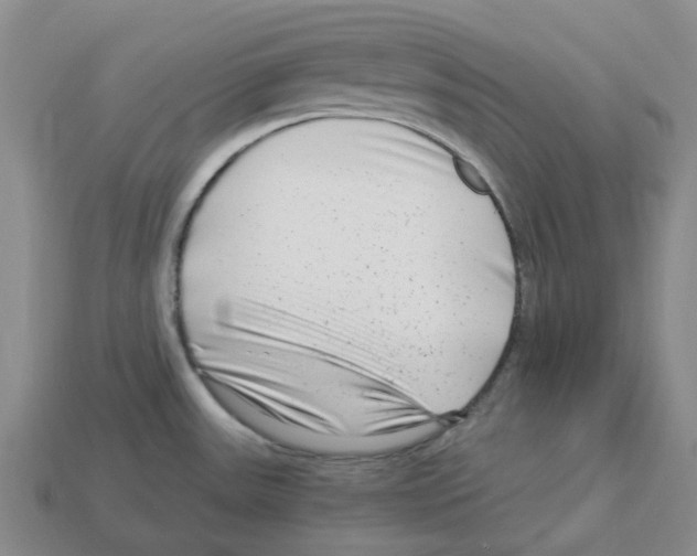 X0000112901531200910021424