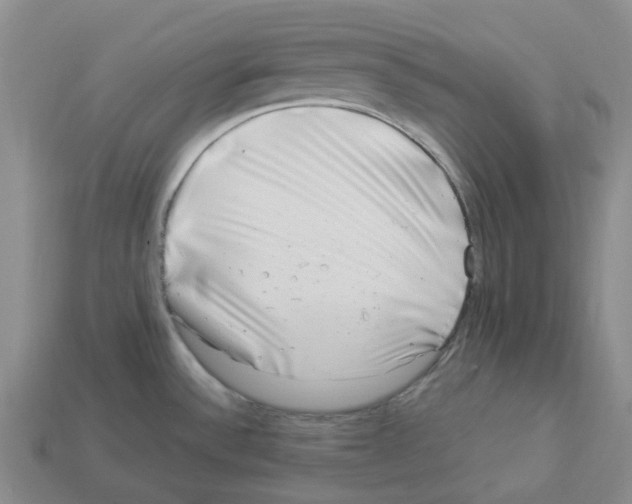 X0000112901532200910021424