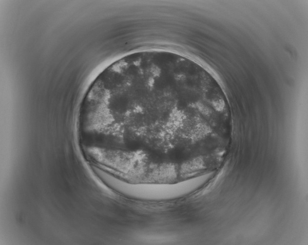X0000112901533200910021424