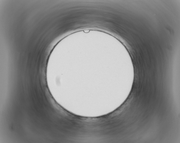 X0000112901534200910021424