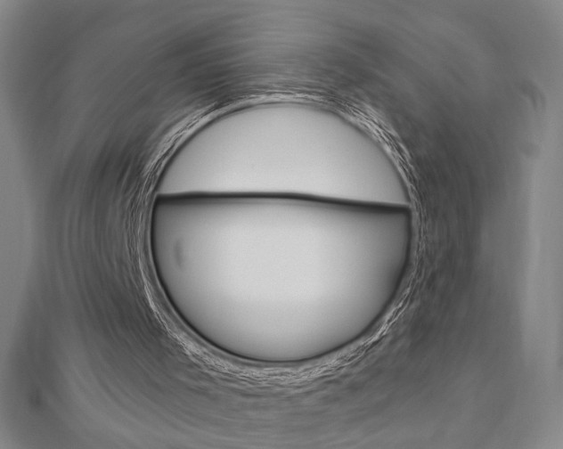 X0000112910001200908241019
