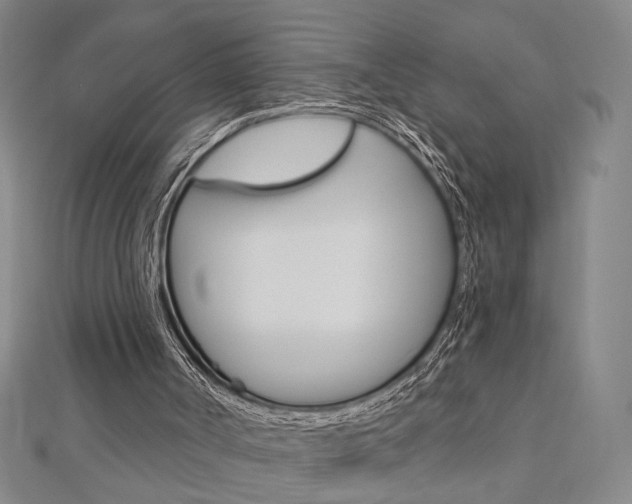 X0000112910002200908241019