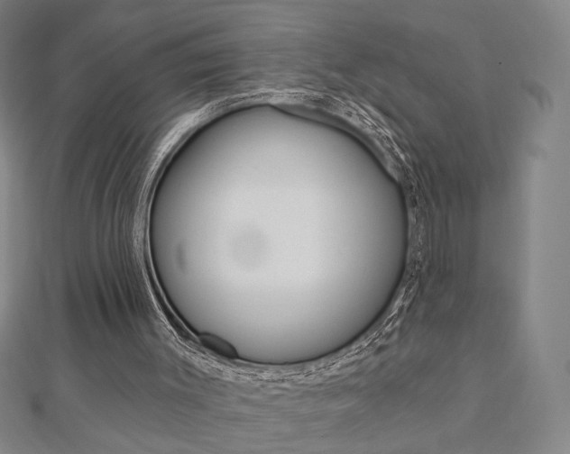 X0000112910003200908241019