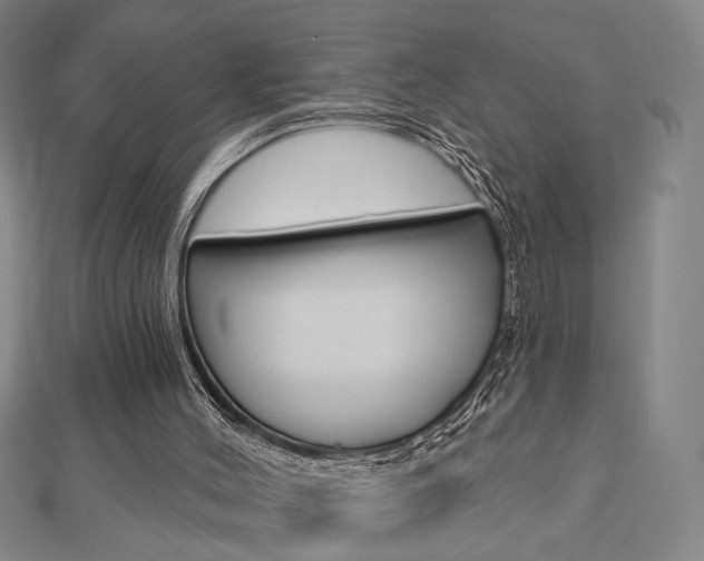 X0000112910004200908241019