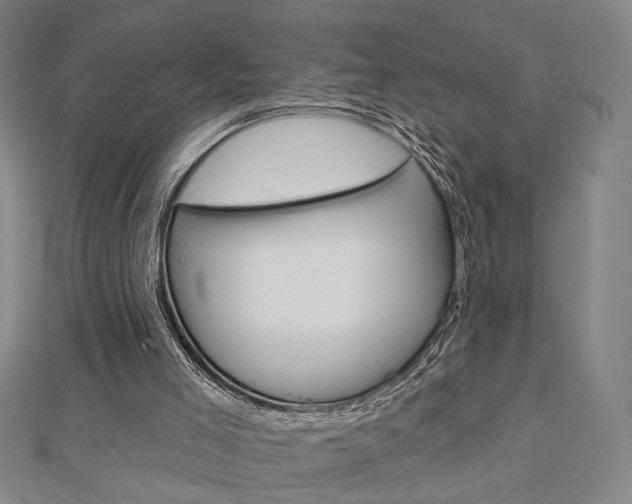 X0000112910005200908241019