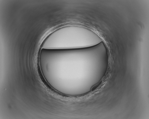 X0000112910007200908241019