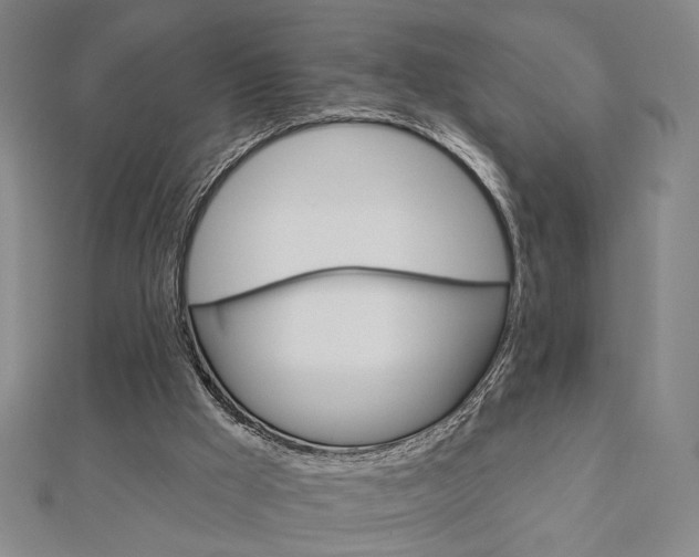 X0000112910009200908241019