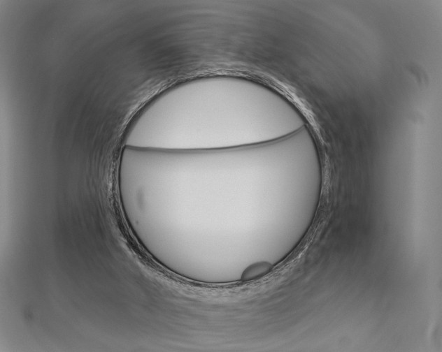 X0000112910010200908241019