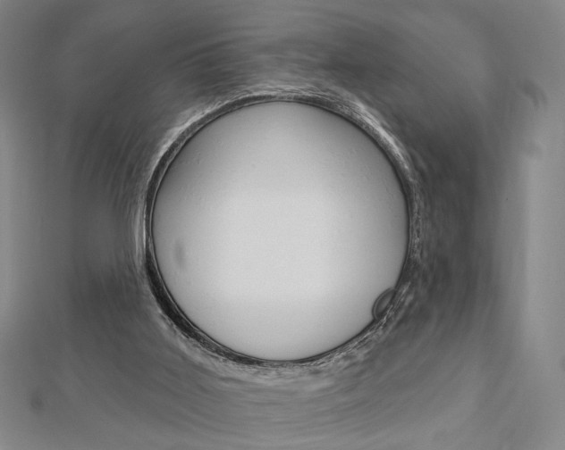 X0000112910011200908241019