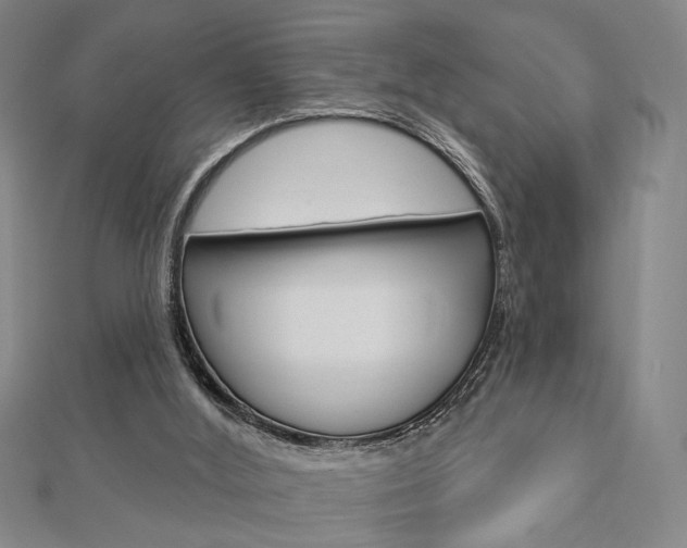 X0000112910012200908241019