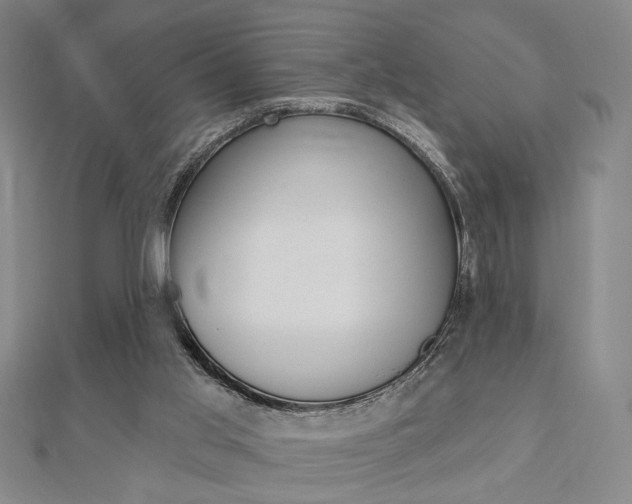 X0000112910013200908241019