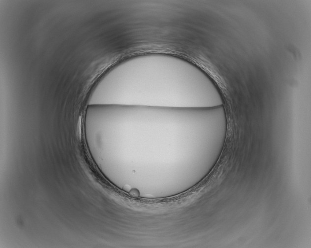 X0000112910014200908241019