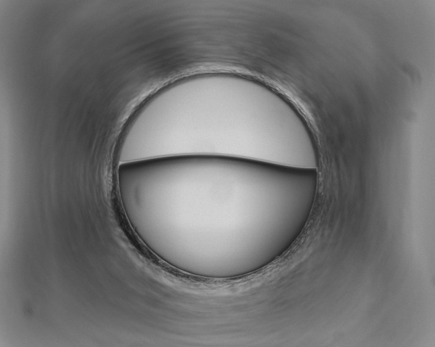X0000112910015200908241019