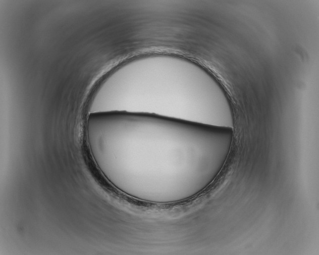 X0000112910016200908241019