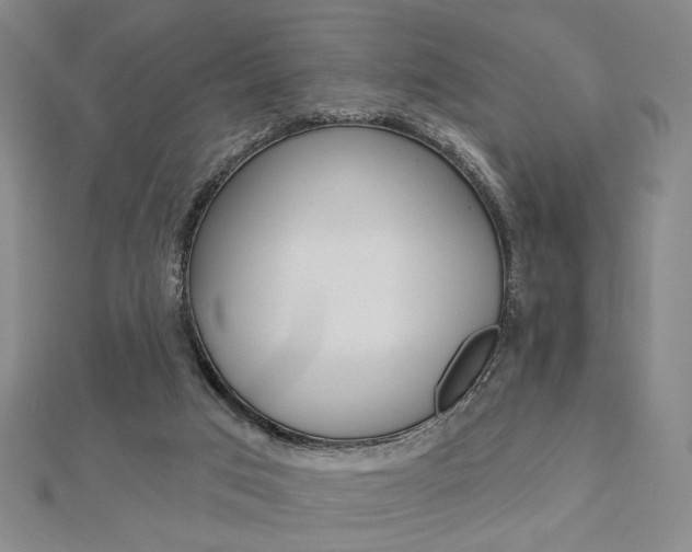 X0000112910017200908241019