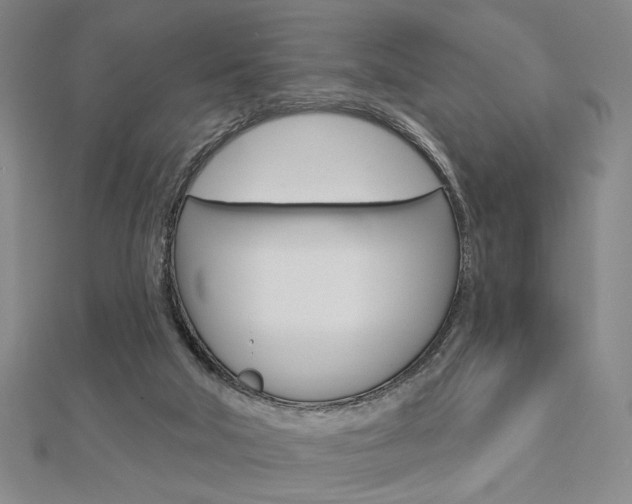 X0000112910018200908241019