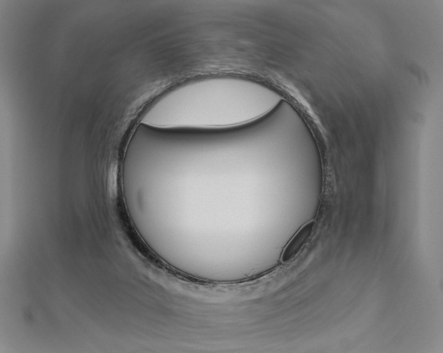 X0000112910019200908241019