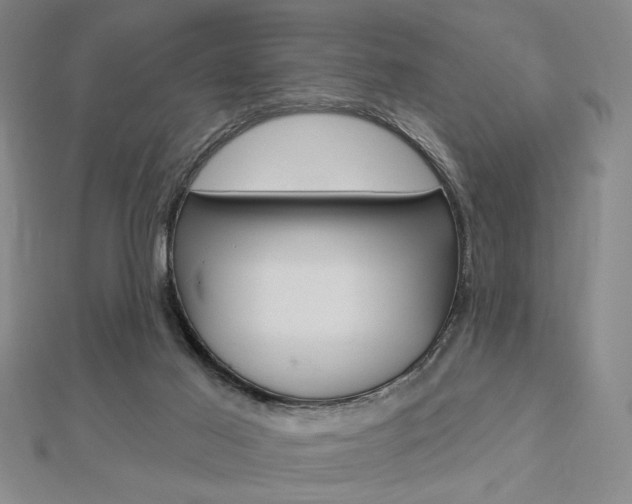 X0000112910021200908241019